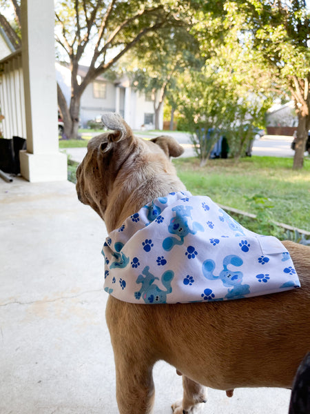 Blues clues dog bandanas